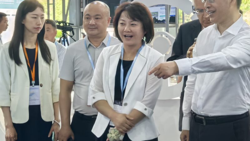 二手变速箱配件：如何辨析真伪，规避风险**